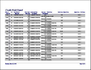 CSReports mini preview