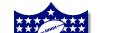National Football League